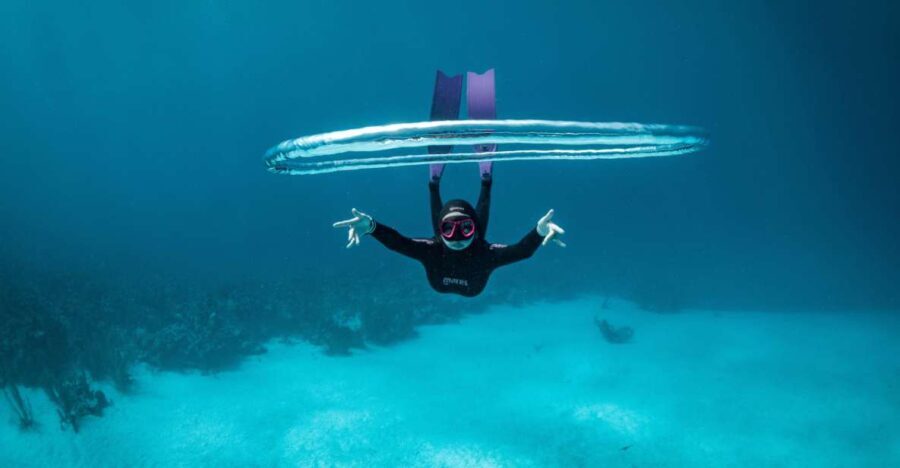 Try Free Diving in the Island of the Big Blue - Why This Experience Offers Real Value