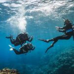 Try Scuba Diving from Boat in Budva - Budva Diving Center - What’s Included and What to Expect