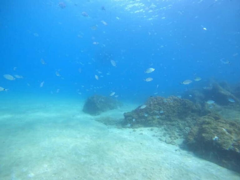 TRY SCUBA - Experience for beginners - What’s Included and What’s Not