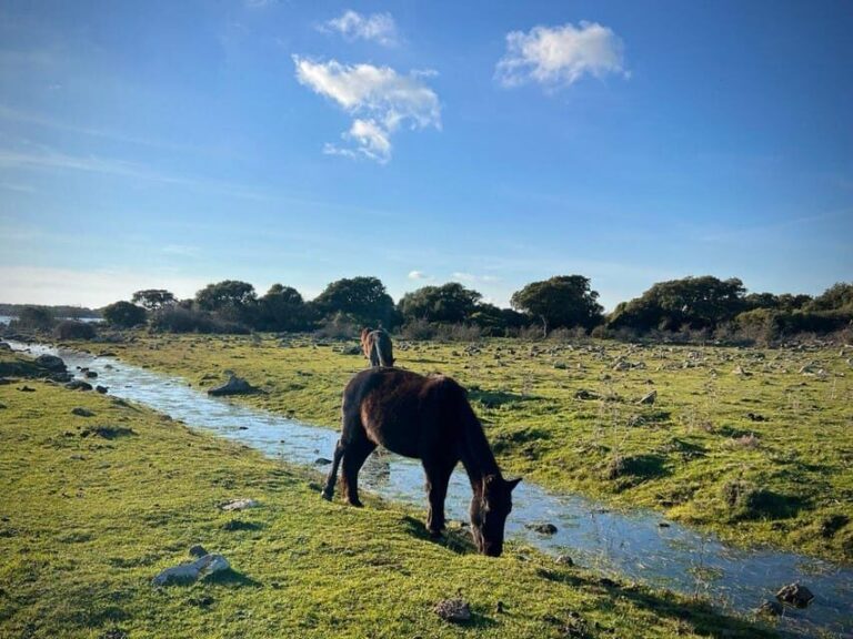 Tuili: Wild Giara Tour - Authentic, Value-Driven Adventure