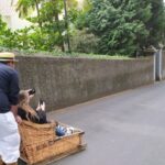 Tuk Tuk Monte Toboggan - Madeira Island - The Value of the Experience