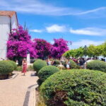 Tuk-Tuk sightseeing in lisbon(Old town) - A Detailed Look at the Itinerary