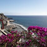 Tuk Tuk Wine Tour - Madeira Island - The Itinerary: What You’ll Experience