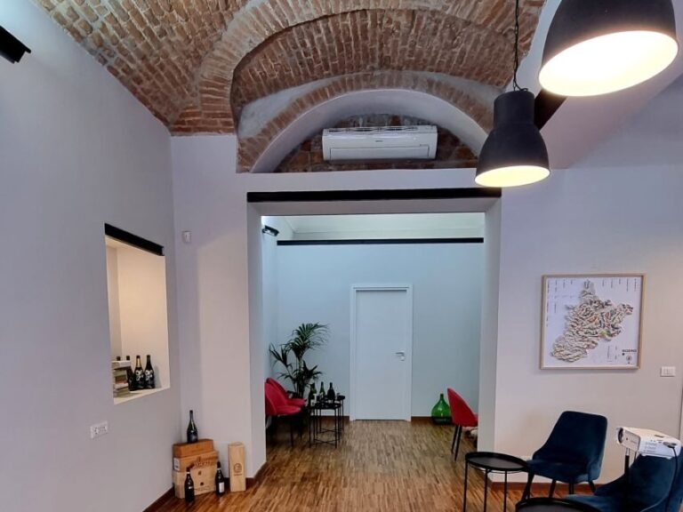 Turin: Local Wine Tasting in the Heart of the City - Who Will Love This Experience?