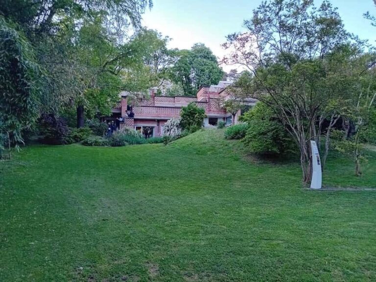 Turin: Visit and tasting at Casa Luzi Architecture and House Museum - What Were Not Crazy About