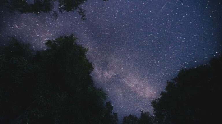 Turku: Gems of the Archipelago Sea 3-Day Kayaking Tour - Final thoughts