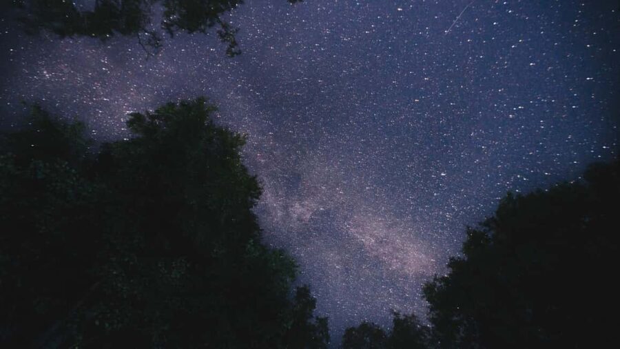 Turku: Gems of the Archipelago Sea 3-Day Kayaking Tour - Final thoughts