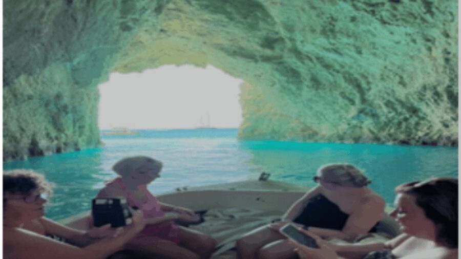 Turtle Cruise from 9 am or 12 noon or 3 pm for 3 hours - The Details: How it Works