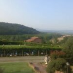 Tuscany: Garfagnana Horseback Riding Experience - An In-Depth Look at the Garfagnana Horseback Ride