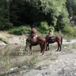 Tuscany: Horseback Riding Experience in Buonconvento - Final Thoughts