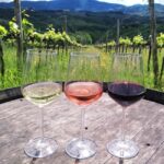 Tuscany: Immersive Winery + tasting (4 wines) - Final Thoughts