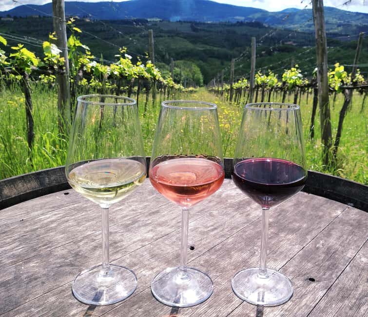 Tuscany: Immersive Winery + tasting (4 wines) - Final Thoughts