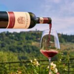 Tuscany: Picnic with Wine and Delicacies in Radda in Chianti - Final Thoughts