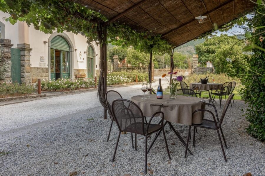 Tuscany: White Wine Tasting with Aperitivo at a Local Winery - Authenticity and Value