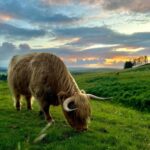 Two Day Taster Tour of Skye and the Highlands - Who Should Consider This Tour?