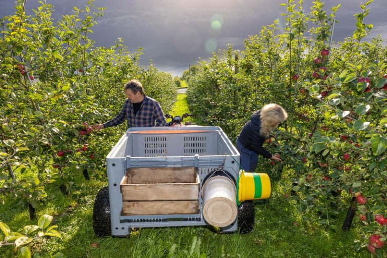 Tyssedal: Cider Tasting Tour - Practical Details and Tips