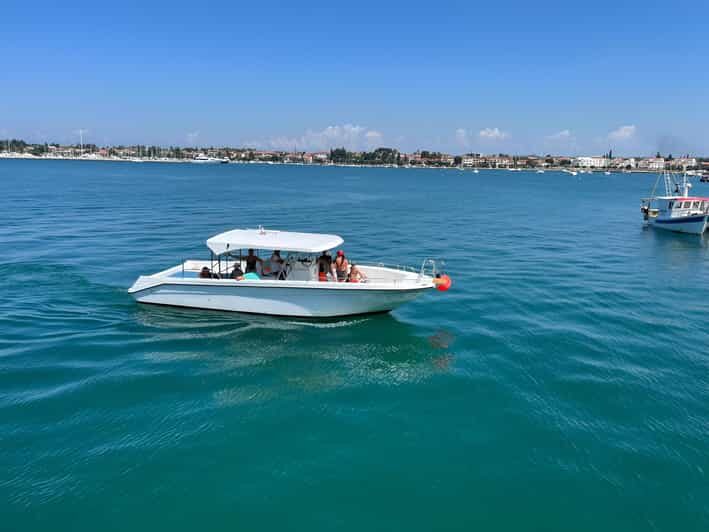 Umag: Snorkeling & dolphin watching morning boat tour - The Itinerary: What to Expect