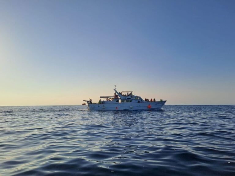 Umag: Sunset Cruise with Dolphin Spotting - The Itinerary in Detail