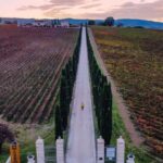 Umbria: Guided wine tasting ColSanto - Key Points
