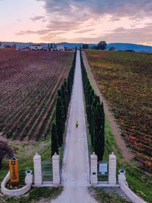 Umbria: Guided wine tasting ColSanto - Key Points