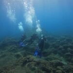 Underwater Archaeological Tour: Acicastello (CT) - The Authenticity and Unique Aspects