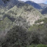 Unforgettable day on safari from Paphos to the Troodos mountains - What We Think About the Experience