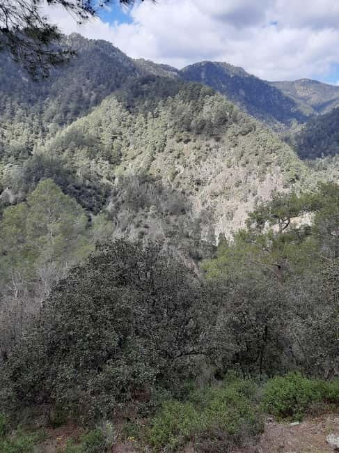 Unforgettable day on safari from Paphos to the Troodos mountains - What We Think About the Experience