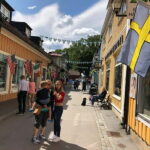 Uppsala city and Sigtuna city 8h tour from Stockholm - Who is This Tour Best For?