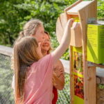Usedom: Treetop Walk Adventure on Usedom Island - The Sum Up