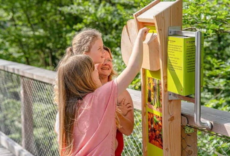 Usedom: Treetop Walk Adventure on Usedom Island - The Sum Up