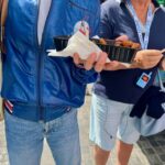 Utrecht: Highlights and Secrets with a Walking Tour - Price and Value: Is it Worth It?