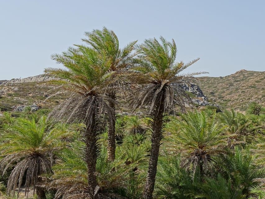 Vai Palm Beach Full Day Private Tour - What to Expect on the Day