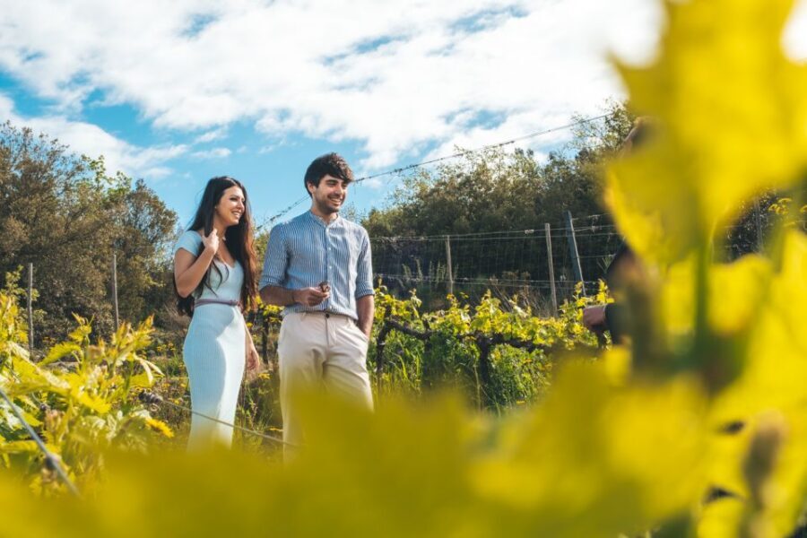 Val d'Orcia: Wine and Food Tasting at a Podere - Final Thoughts: Who Is This Tour For?