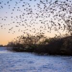 Valada: 1 hour boat trip, guided tour - Why You Should Consider This Tour