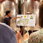Valdobbiadene - Visit to the winery and tasting of DOCG Superiore wines - The Practical Aspects That Matter