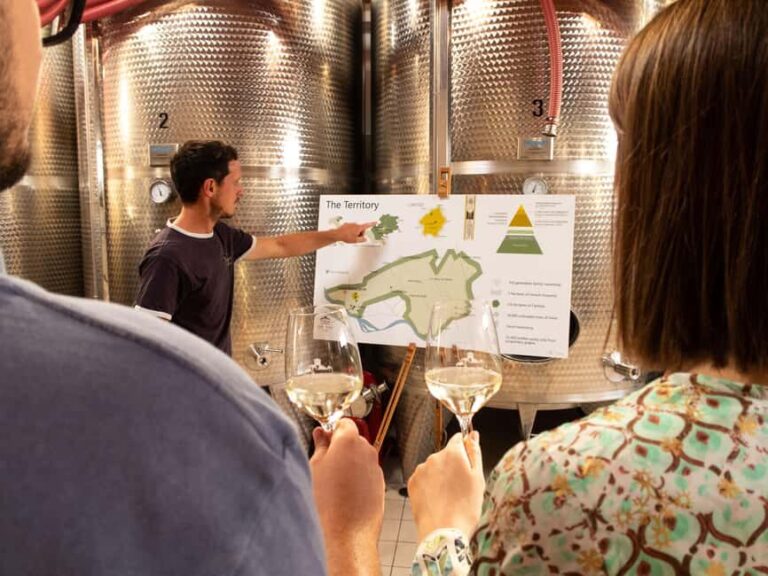 Valdobbiadene - Visit to the winery and tasting of DOCG Superiore wines - The Practical Aspects That Matter