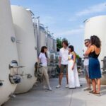 Valdobbiadene:Prosecco tasting,appetizers,winery & vineyard - Why This Tour Works Well