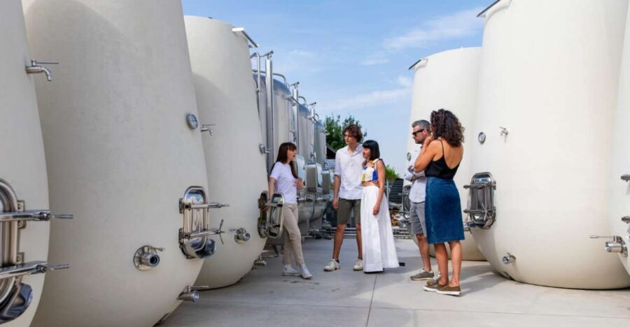 Valdobbiadene:Prosecco tasting,appetizers,winery & vineyard - Why This Tour Works Well