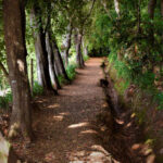 Vale Paraíso Rochão Madeira Island Walk - Vale Paraíso: A Peaceful Introduction to Madeira’s Valleys