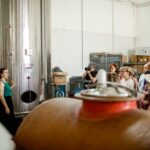 Valeggio: "Perlage d'Autore," bubbles of excellence and guided tour - Who Would Love This Tour?