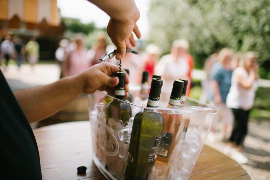 Valeggio: Summer Sips - 3 young wines with guided winery tour. - The Value & Why It Matters