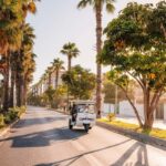 Valencia: 1-hour Private Tuk Tuk Tour - What to Expect During the Tour