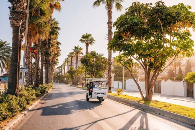 Valencia: 1-hour Private Tuk Tuk Tour - What to Expect During the Tour
