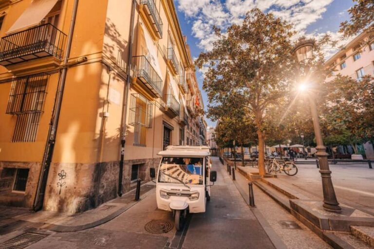 Valencia: 2-hour City Highlights Guided Tour by Tuk Tuk - Who Should Book This Tour?