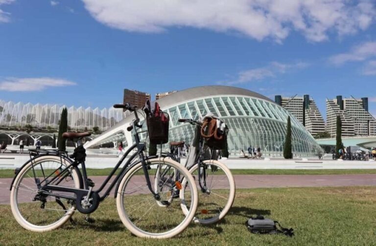 Valencia: 24-Hour Bike Rental - The Real-World Experience: Reviews and Insights