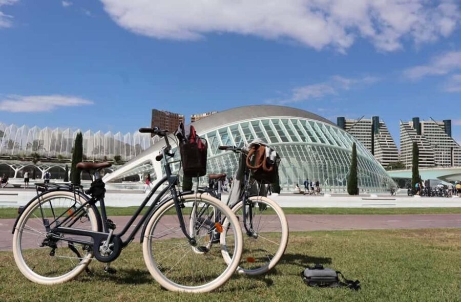 Valencia: 24-Hour Bike Rental - The Real-World Experience: Reviews and Insights
