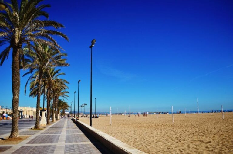 Valencia: 3-Hour Guided City Sightseeing & Beaches Bike Tour - What’s Included and What You Should Consider