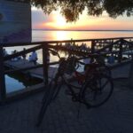 Valencia: Albufera Natural Park Bike and Boat Tour - What’s Included and What to Consider