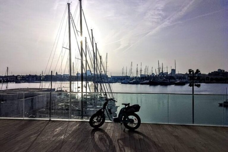 Valencia all in one: beaches, old town & city arts by E-bike - FAQ