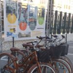 Valencia: Bike Rental for 1 to 4 Days - The Ride and the Routes